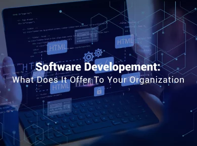 Software development: what does it offer
